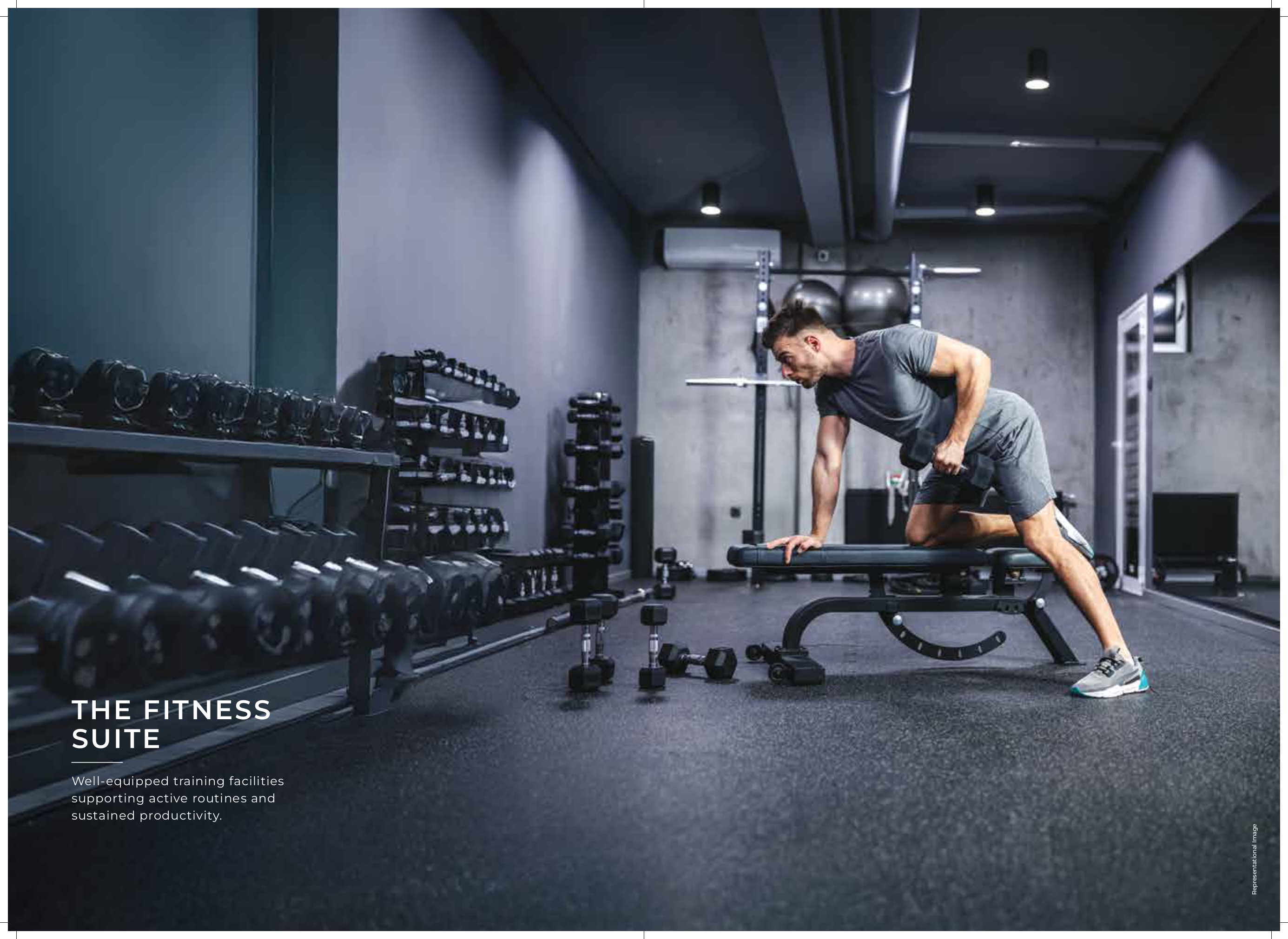 Modern Gym